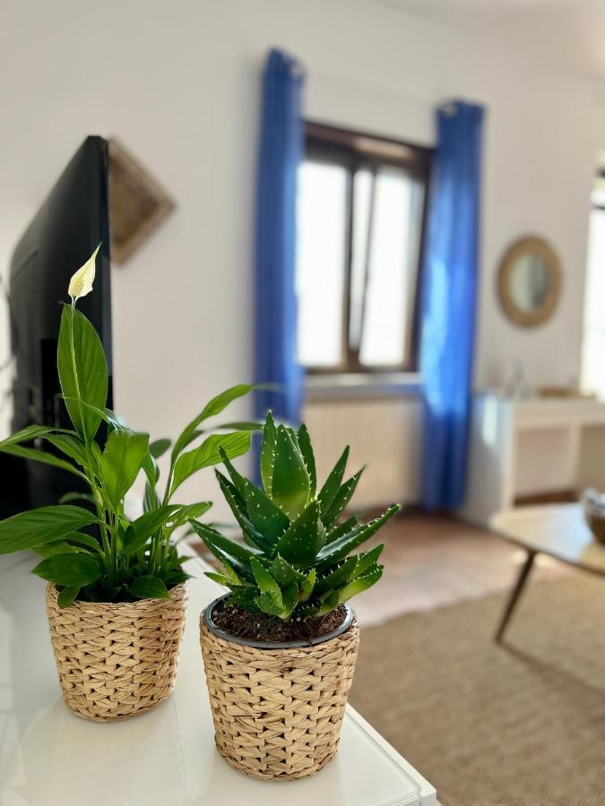 フィウミチーノSea Breeze Houseアパートメント エクステリア 写真